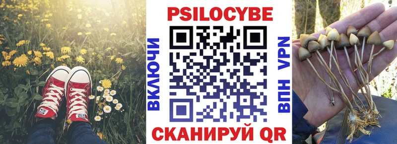 купить наркоту Медвежьегорск Псилоцибиновые грибы Magic Shrooms